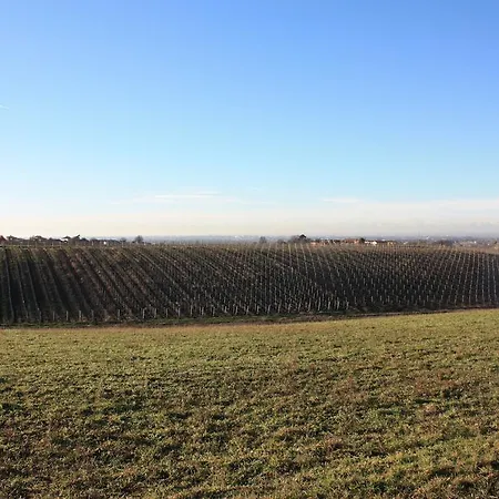 Oltre Bed & Breakfast Casteggio